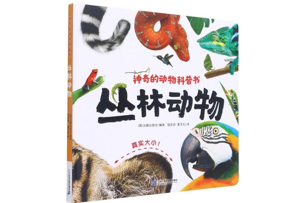 叢林動物(2021年二十一世紀出版社集團出版的圖書) 叢林動物(2021年二十一世紀出版社集團出版的圖書)
