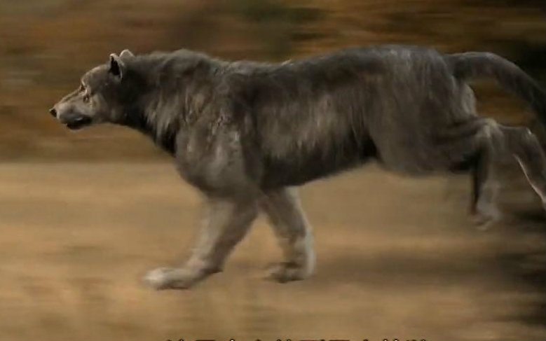 史前掠食巨獸：恐狼
