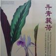 丹青蘘荷：手繪中國姜目植物精選
