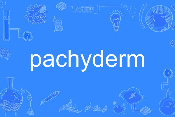 pachyderm pachyderm