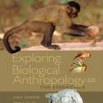 Exploring Biological Anthropology(Stanford, Craig, Allen, John S., Anton, Susan C著圖書) Exploring Biological Anthropology(Stanford, Craig, Allen, John S., Anton, Susan C著圖書)