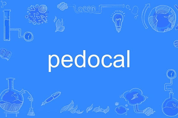 pedocal pedocal