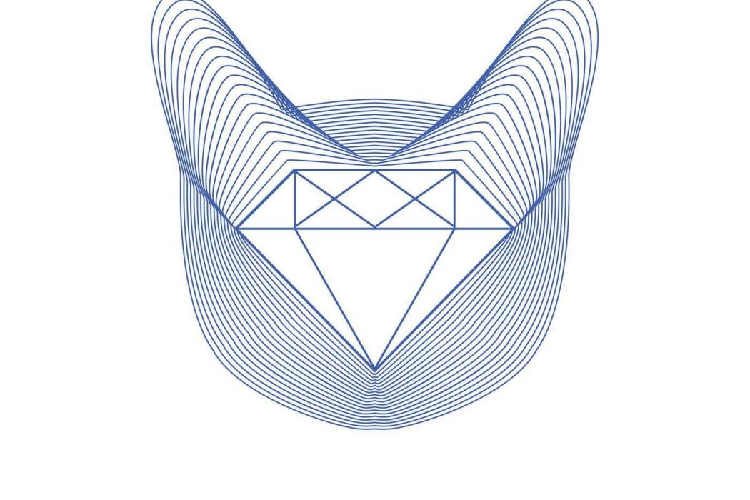 Diamond Cat Diamond Cat