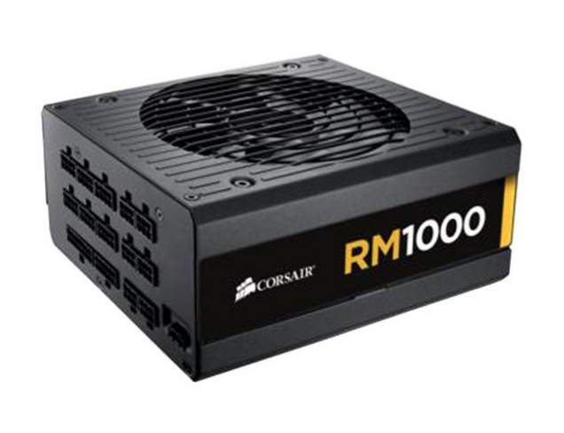 海盜船RM1000