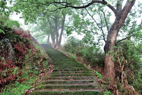 芙蓉嶺古道 芙蓉嶺古道