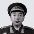 張賢約 張賢約