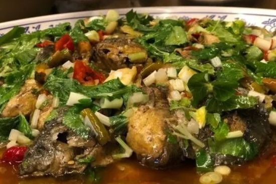 黃悶鯽魚 黃悶鯽魚