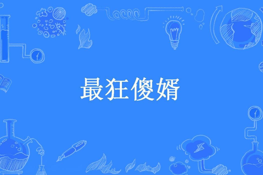 最狂傻婿 最狂傻婿