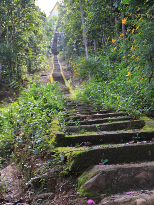 美音寺 美音寺