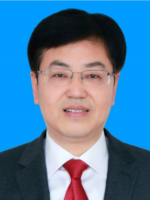 盧志峰(浙江省金華市磐安縣人大常委會黨組成員、副主任)