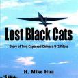 Lost Black Cats Lost Black Cats