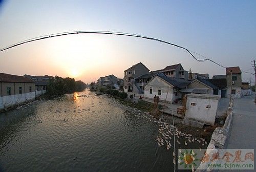 金魚橋村 金魚橋村