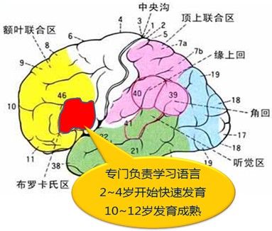 布羅卡斯區(布羅卡區) 布羅卡斯區(布羅卡區)
