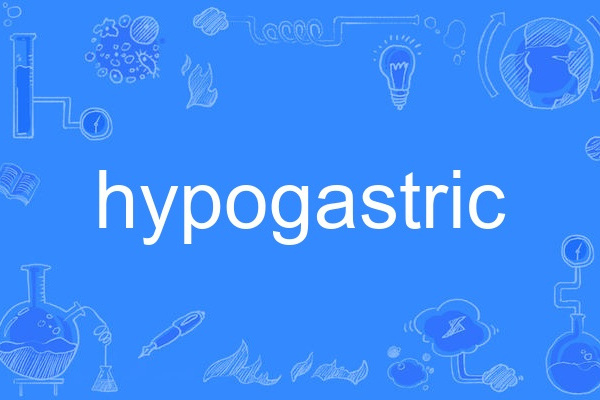 hypogastric hypogastric