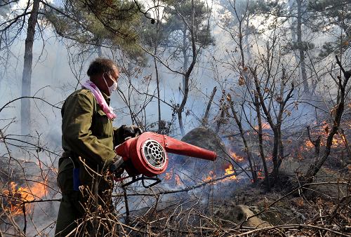 消防人員等在撫寧縣大石窟附近的山上滅火