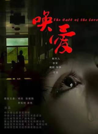 王虎城
