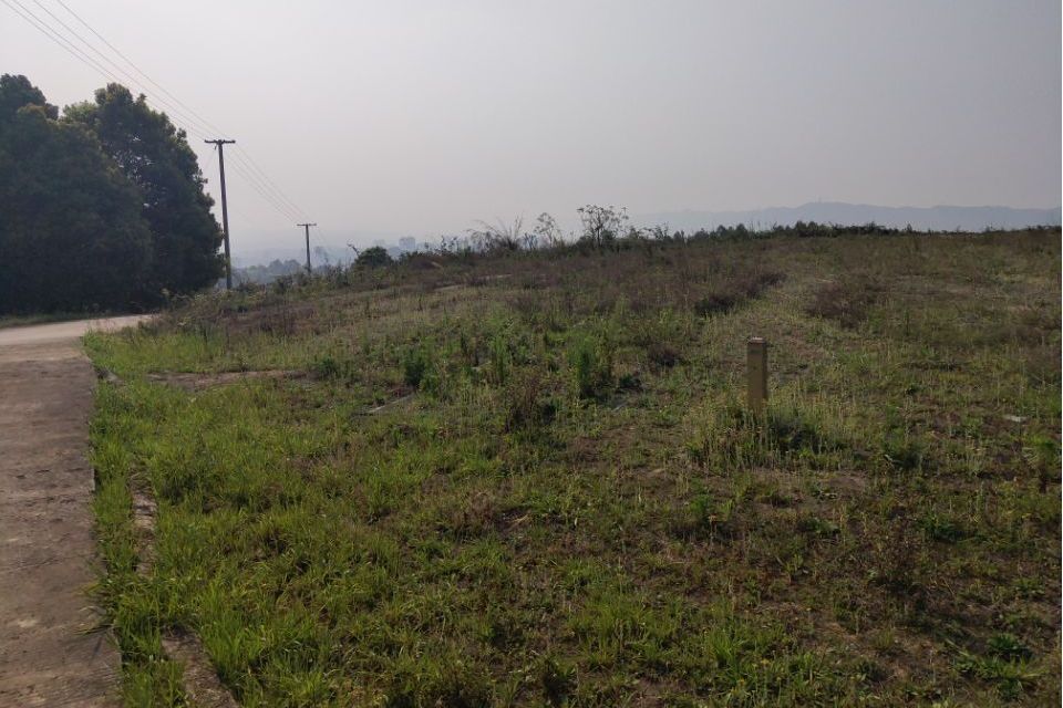 觀斗山(宜賓市境內的一座山峰) 觀斗山(宜賓市境內的一座山峰)