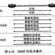 igp(IGP(內部網關協定)) igp(IGP(內部網關協定))