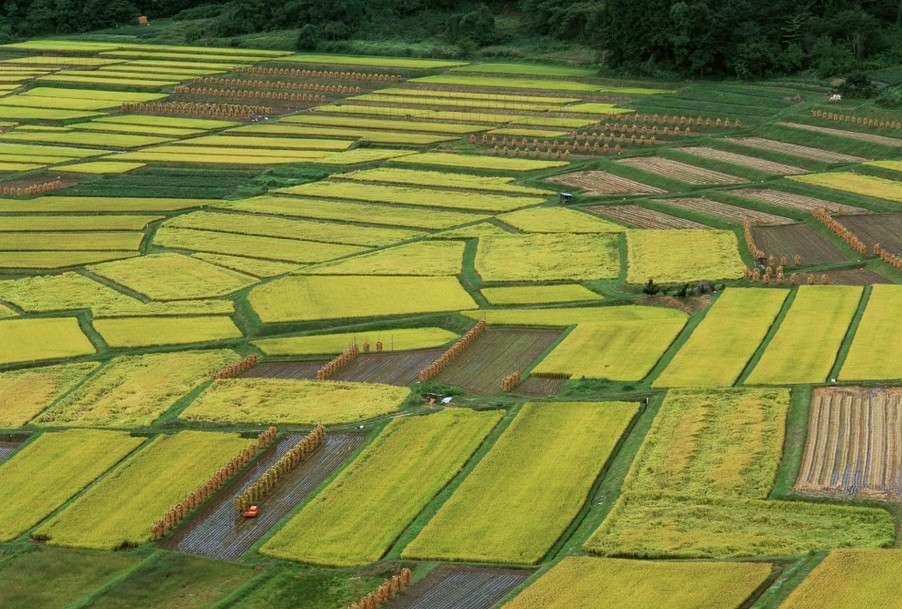 土地測量