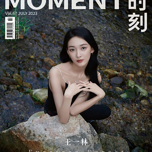 王一林(中國內地女演員)