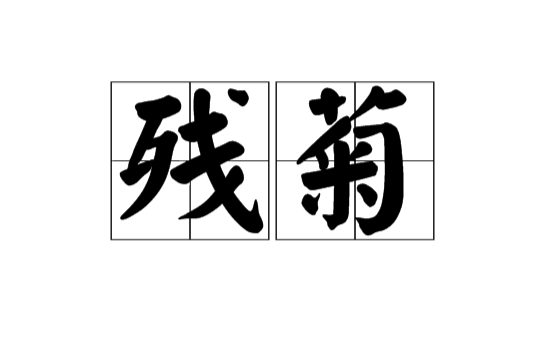殘菊(漢語詞語)
