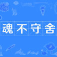 魂不守舍(漢語成語) 魂不守舍(漢語成語)