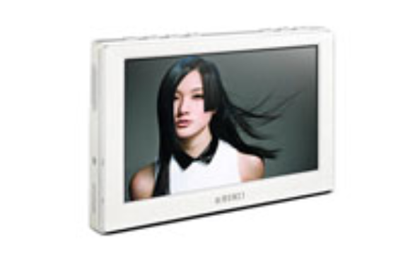 金星A10(8GB)
