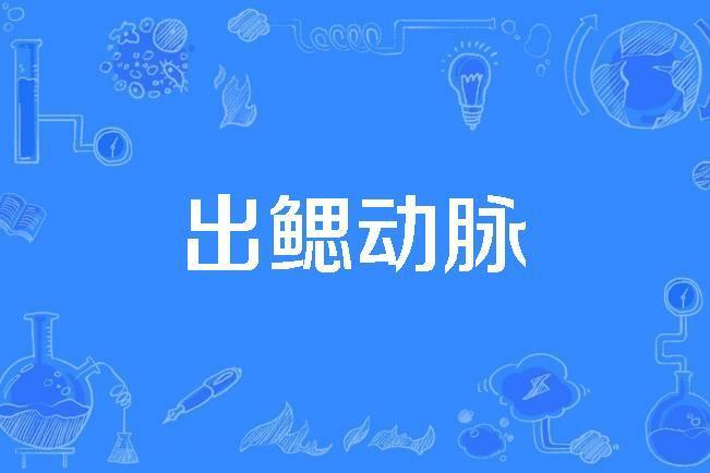 出鰓動脈 出鰓動脈