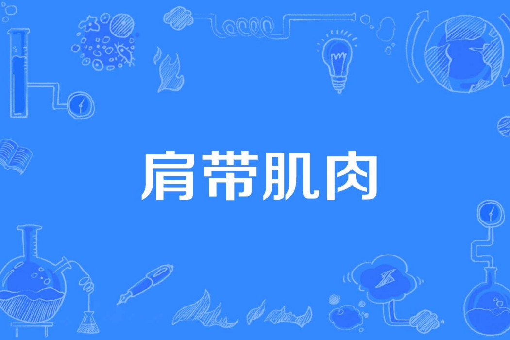 肩帶肌肉 肩帶肌肉