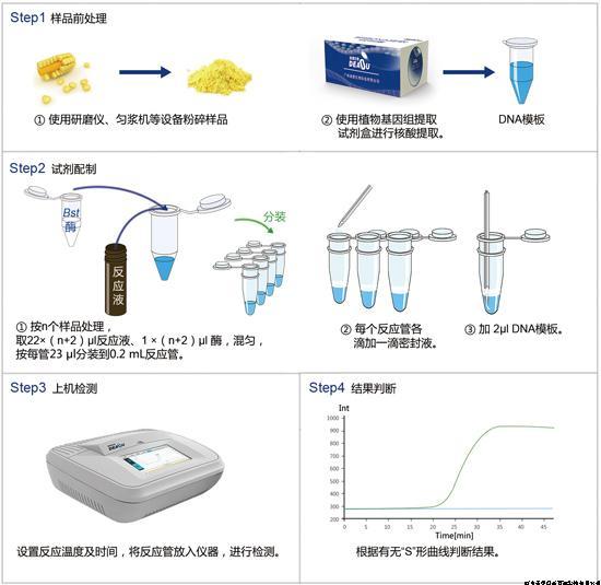 分子探針法 分子探針法