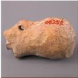 新石器時代陶豬