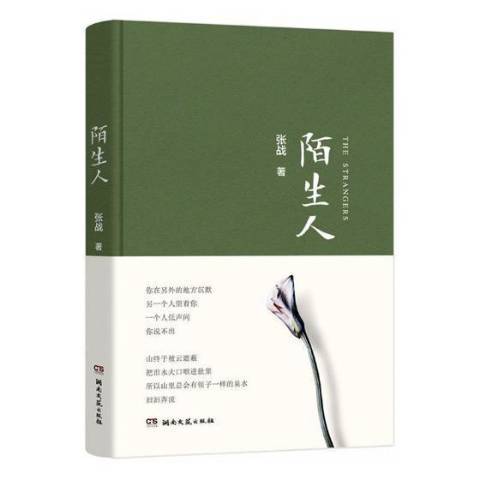 陌生人(2017年湖南文藝出版社出版的圖書) 陌生人(2017年湖南文藝出版社出版的圖書)