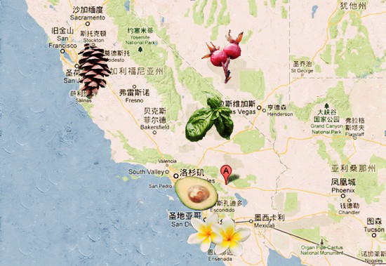 加州Calibio植物地圖