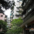 小新街社區 小新街社區