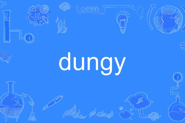 dungy dungy