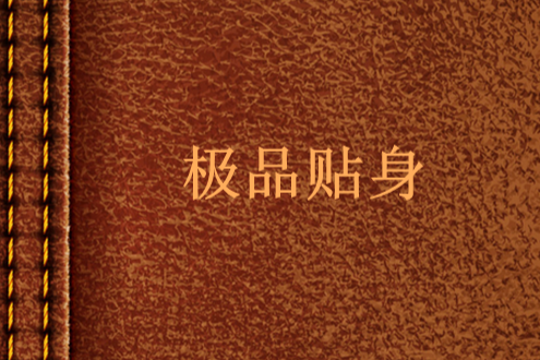 極品貼身 極品貼身