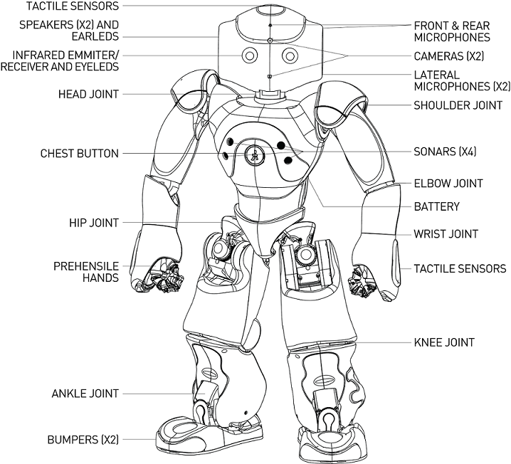 NAO機器人自帶的結構圖