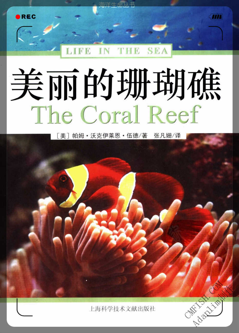 美麗的珊瑚礁