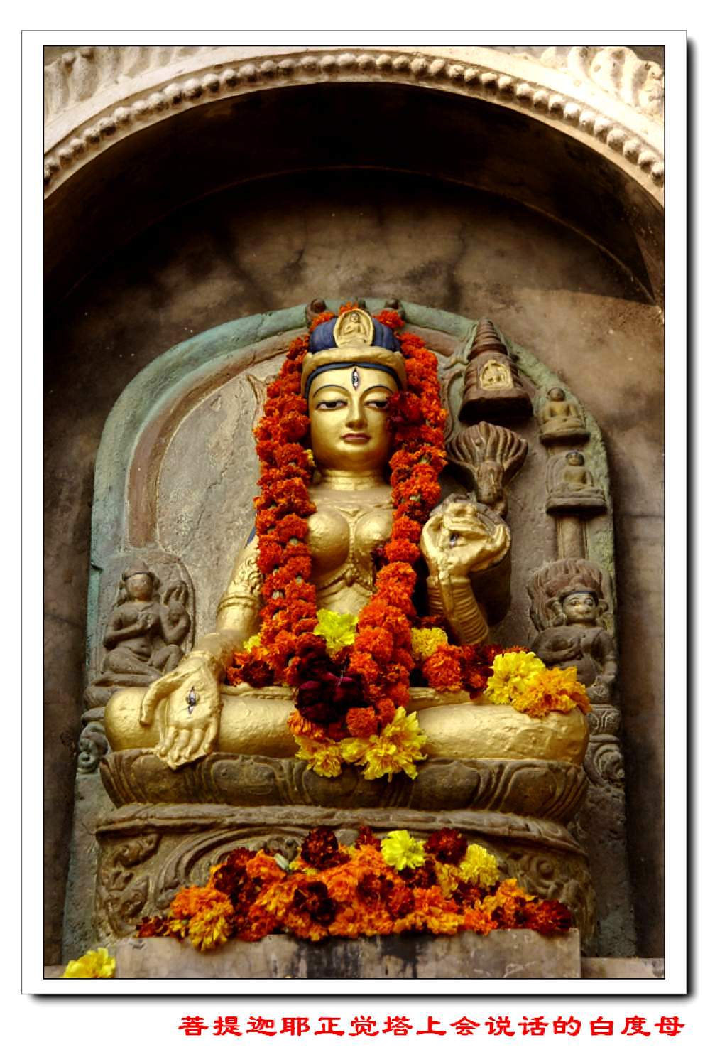 印度菩提伽耶塔說話的度母石像