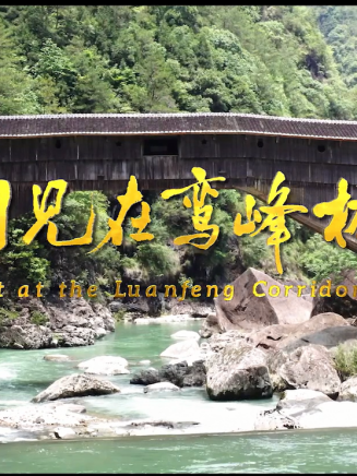 張楓林