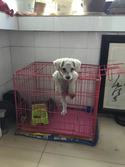 可還記得我 可還記得我