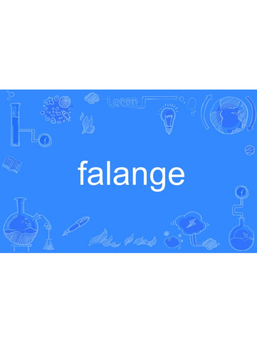falange falange