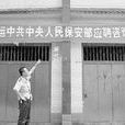 龍曲鎮