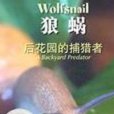 狼蝸 狼蝸