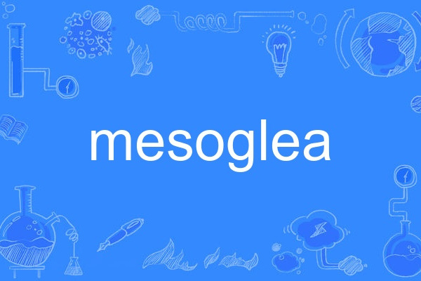 mesoglea mesoglea