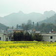 睡佛山 睡佛山