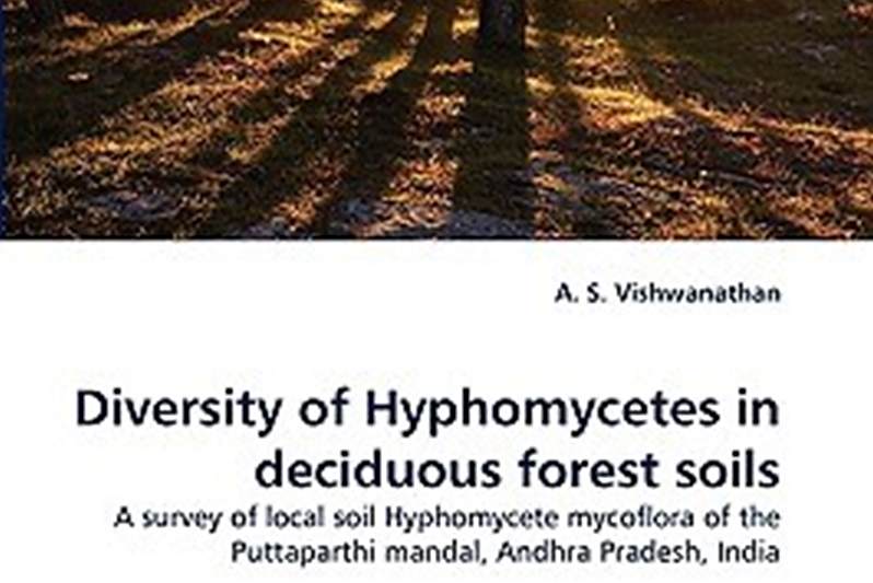 Diversity of Hyphomycetes in Deciduous Forest Soils Diversity of Hyphomycetes in Deciduous Forest Soils