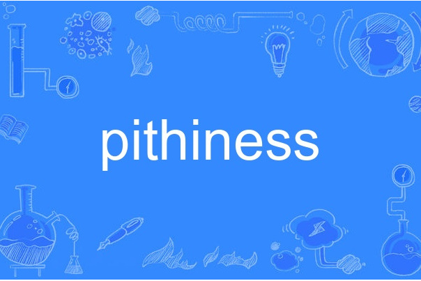 pithiness pithiness