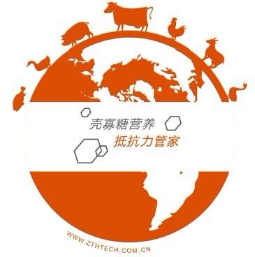 中泰和 中泰和