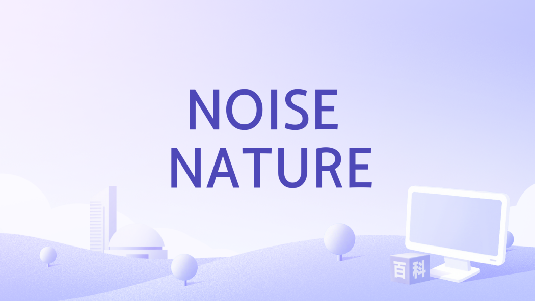 NOISE NATURE NOISE NATURE